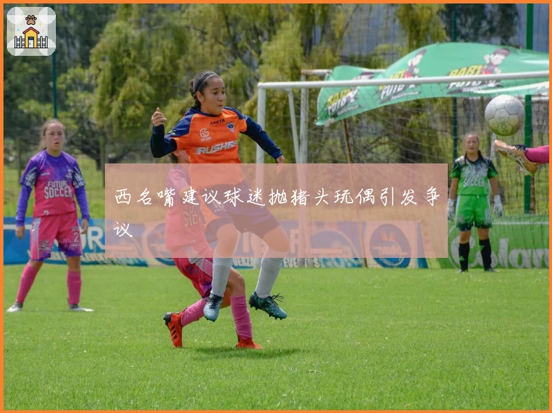 西名嘴建议球迷抛猪头玩偶引发争议