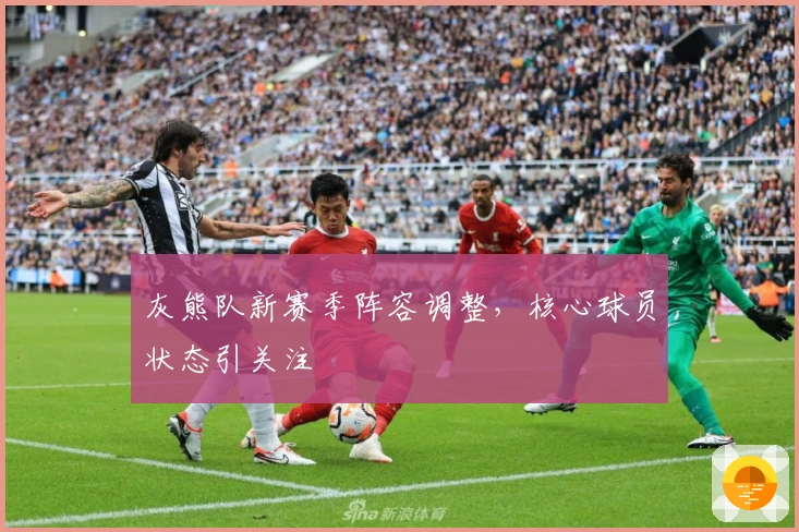 灰熊队新赛季阵容调整,核心球员状态引关注